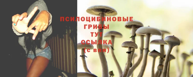 Галлюциногенные грибы Magic Shrooms Воскресенск